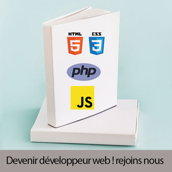 formation developpeur web