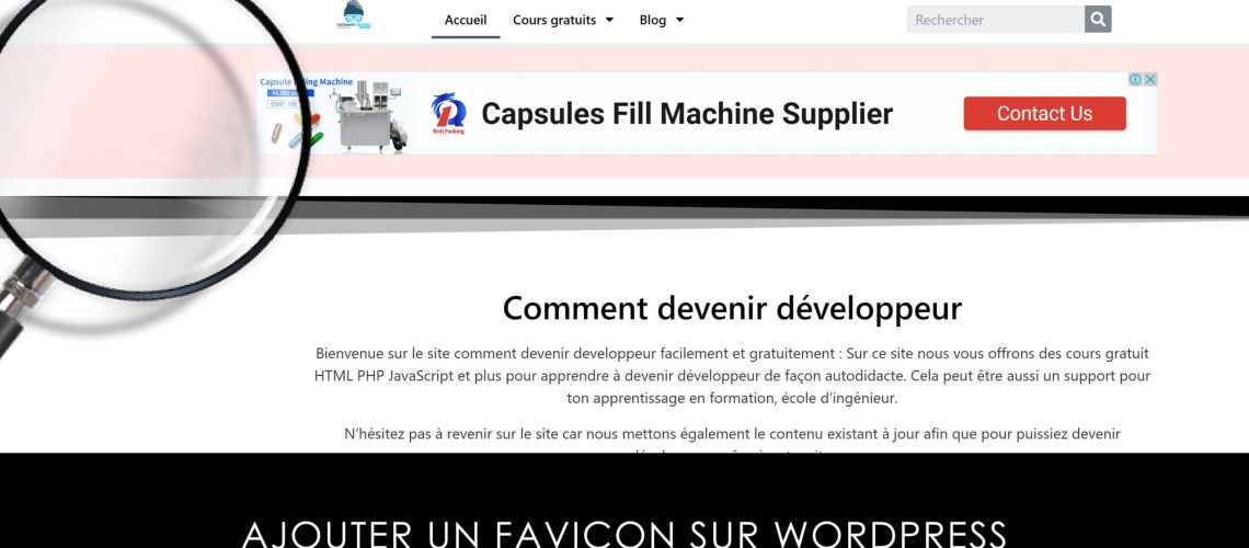 Comment ajouter un favicon à votre blog WordPress